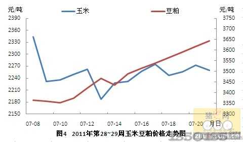 第29周飼料市場情況