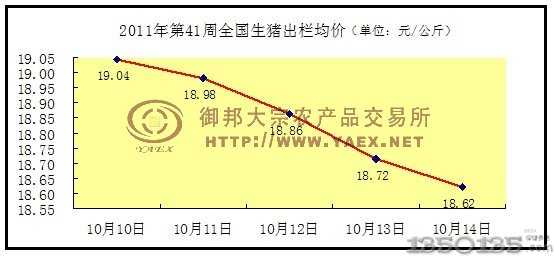 41��ȫ��(gu��)���i�Ј�(ch��ng)����
