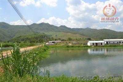 �B�i�����O�h���x��