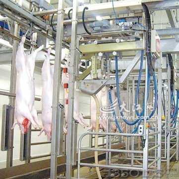 �p�R���׬F��