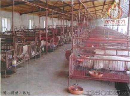 �����i���OӋ���c