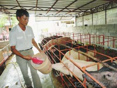 �O�����ڽo�iιʳ��