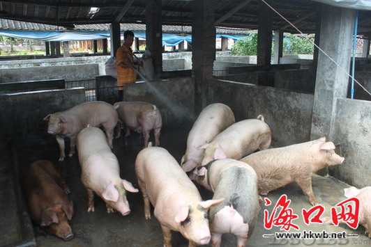 �i�អˮ����