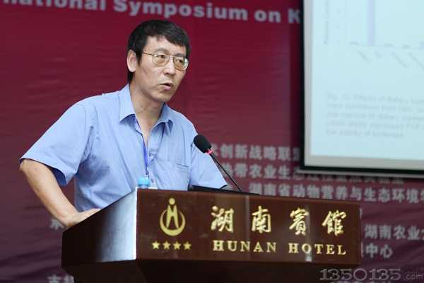 ��н��ڌ��}���