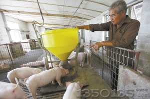 �i���^��ι��