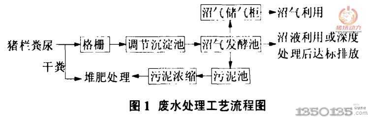 �B�i���U����̎����ˇ����