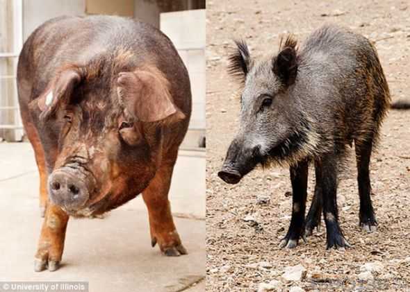 Ұ�i�c������i