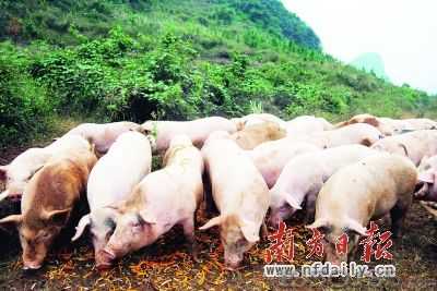 ���B���i