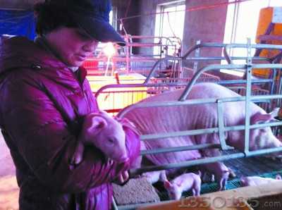 �������i���и���