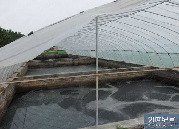 �i���Sˮ�ѷe����ȾˮԴ