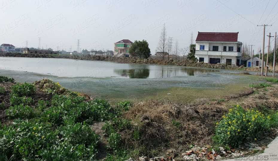 ���d�B�i�h����r