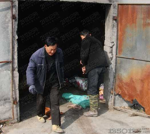 �i�����i