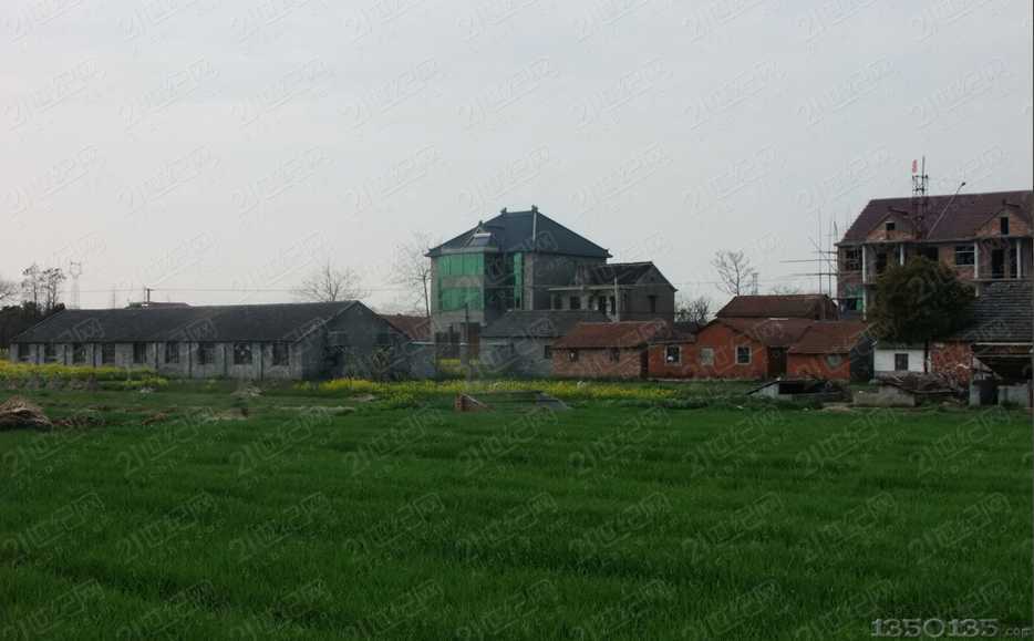 �B�i�ǂ�����Ⱦ�ИI