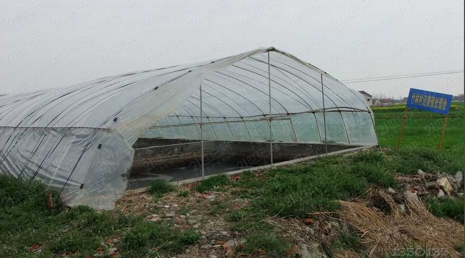 ���d700���f�^�i�ɭh����ȾԴ