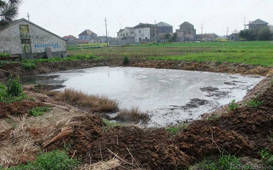 �i�S̎����