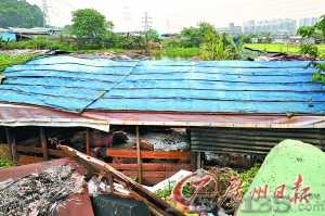 ��ɽ���i��