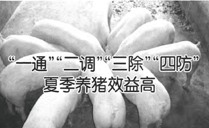 ��һͨ�������{�������������ķ����ļ��B�iЧ���