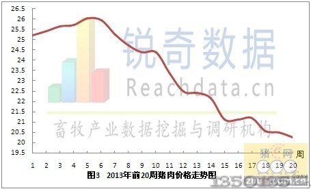 2013���20���i��r���߄݈D