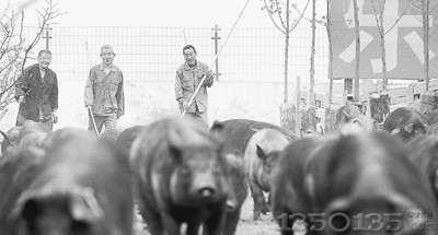 ��Ԫ���͆T���s�����i��ɢ����