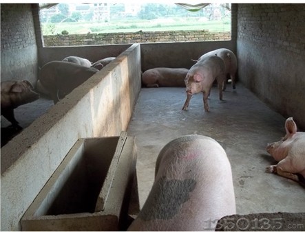 �B�i����ʽ�iȦ