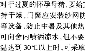 �＾�B�i��ע����Щ����