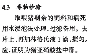 һ���i�������}�ж����\��