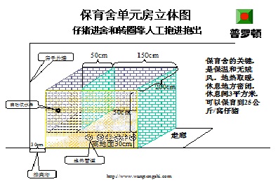 �i�Ὠ�O�OӋ�D��