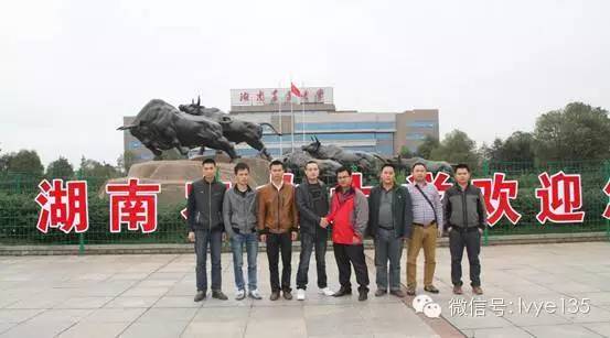 �V���ڶ���vip�͑�F(tu��n)��(l��i)�L�Dһ