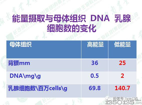 ��ĸ�i�������}�����v��������������ĸ�i�ĠI(y��ng)�B(y��ng)�{(di��o)��