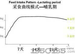 �ļ��iȺ����ʳ������һ�׽M��ȭ