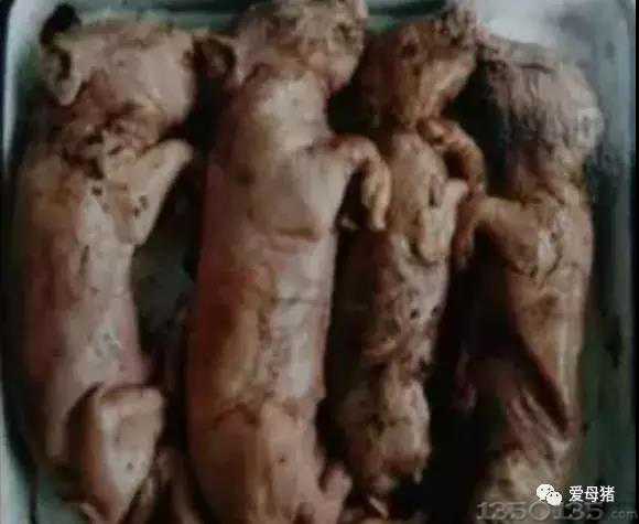 ĸ�i��̥��r��