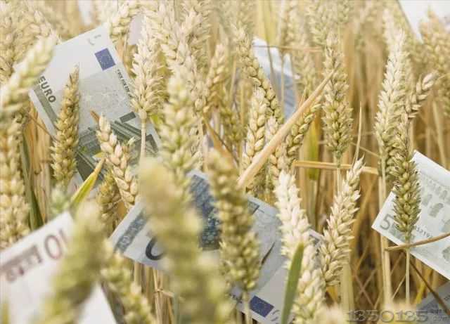 2018���Bֳ�a�N���ش�ĸ����Ո���̣�