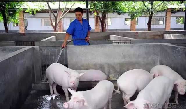 �㲻�ò�֪���Ķ����i�����������к�Ҫ�c��