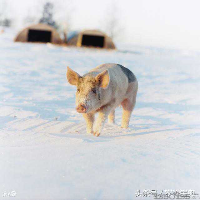 �B�i�������i������ô̎���ģ����һ�N̎����ʽ��϶��벻����