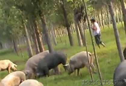 ���K�������@���B(y��ng)�i��(ch��ng)����ô������