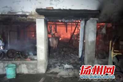 �i����������i�̱��y�����