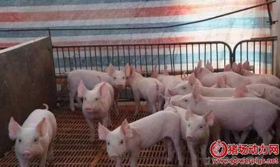 ���������ʹ�����i���ؿ졢��������