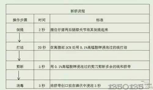 ��ĚҲ��һ�����g��