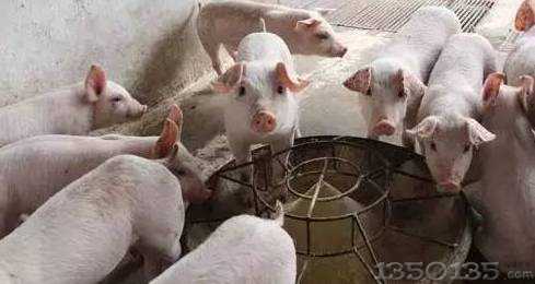 �o�i�Q�ϡ���ˎʲô�r����ѣ�8���P�I�c׌��Ч�ʷ�����