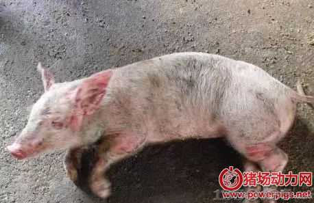 �ί��@7�N�i������һ����Чˎ�����õ����У�