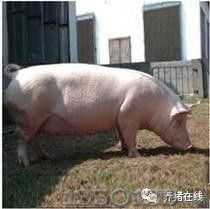 �@һ����Ȼ���i��?bi��o)��ˣ�ʲô��r��