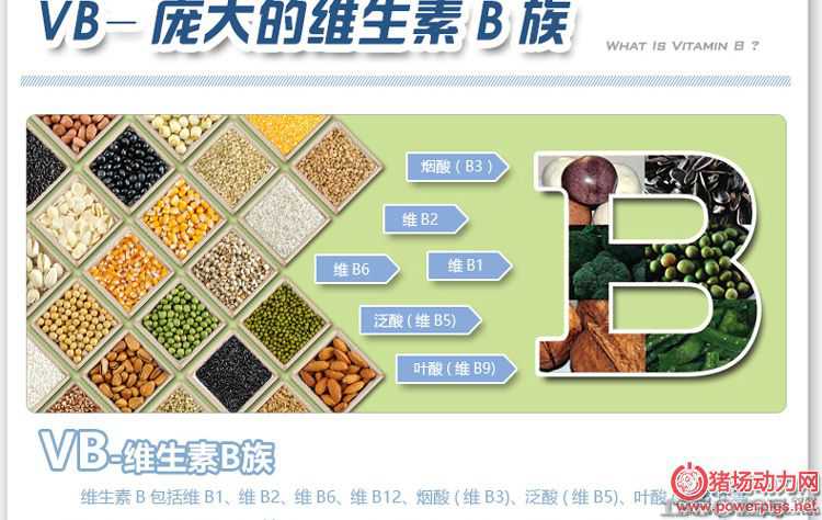 �S����B�����i���ĺ�̎���B�i���˲Ŷ���