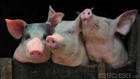 �����^���i�rӭ�_���һ�q��2018�B�iٍ�X���ǆ��}��