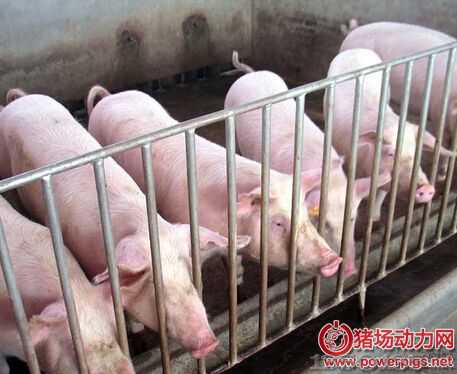 �����i��ʲô�r(sh��)�������ѣ�