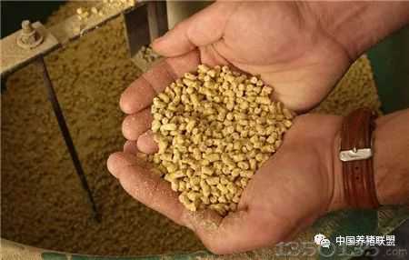 �i�r(ji��)�µ�+ԭ�����ϝq���B(y��ng)�i���������ֵ��^�ˣ�