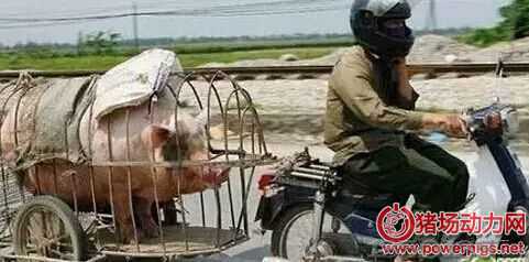 �i�r����...�@�˾��Ԓ���B(y��ng)�i�˸�Ҫ��ӛ��