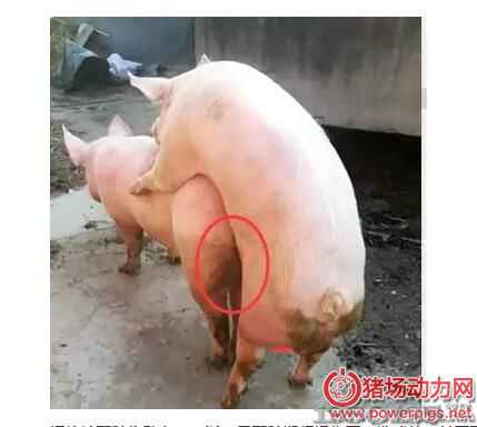 ĸ�i���䲻��ԭ����ڣ����մ˷������50%������