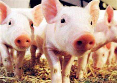 2018-2019�����i�r���߄��A�y���Bһ�^�iٍ200Ԫ�І��}�᣿