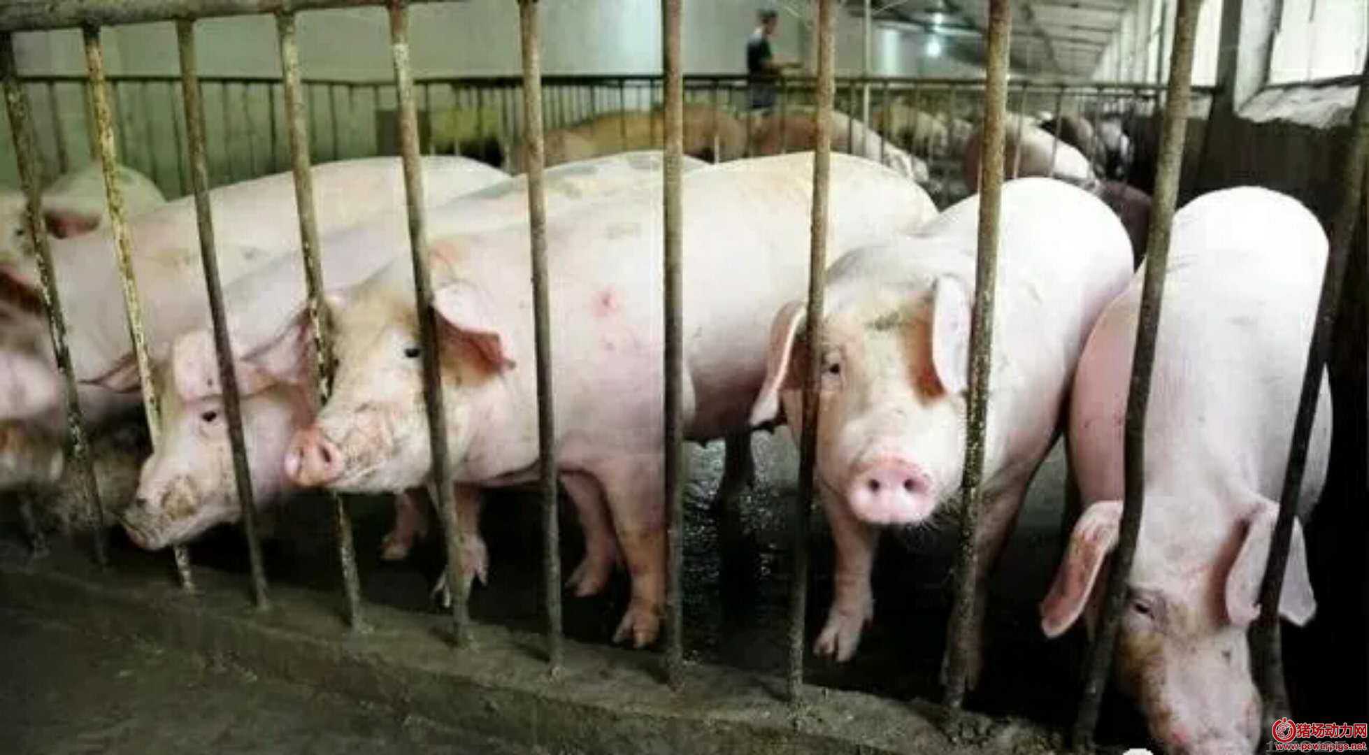 �i�D���żS���c׌�㟩�ģ�ԇԇ�@�ׂ�С���ɰɣ�