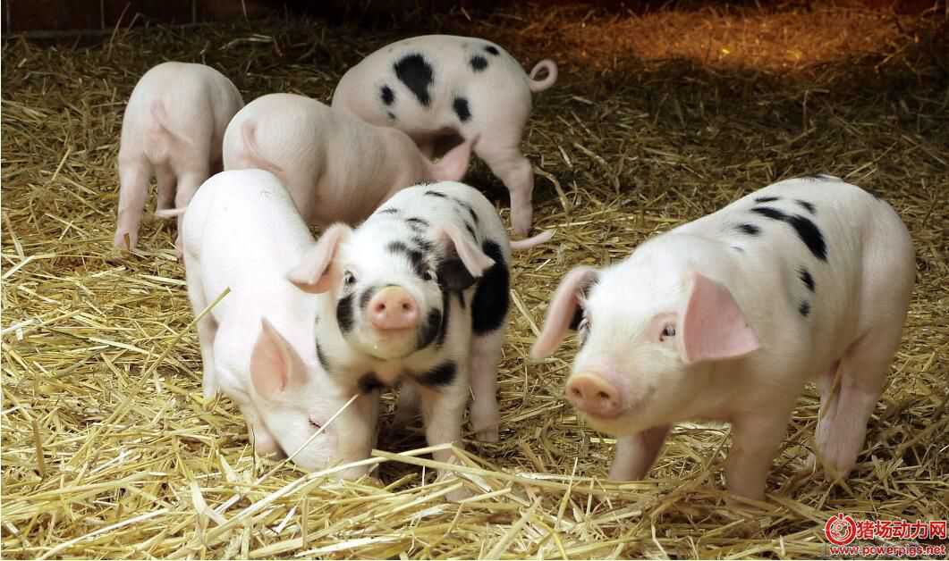 2018���B(y��ng)�iǰ������զ�ӣ������@Щ��?z��ng)Q��Ҫ��Ҫ�^�m(x��)�B(y��ng)��